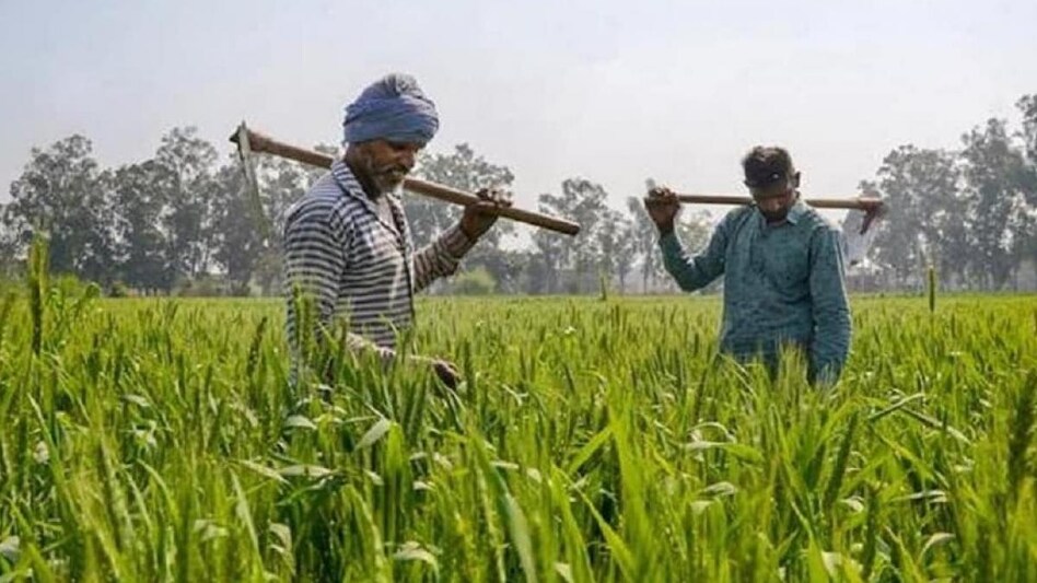 PM Kisan Yojana 2025: 18 जुलाई को आ सकती है 20वीं किस्त, ₹2,000 पाने के लिए अभी करें ये 6 जरूरी काम