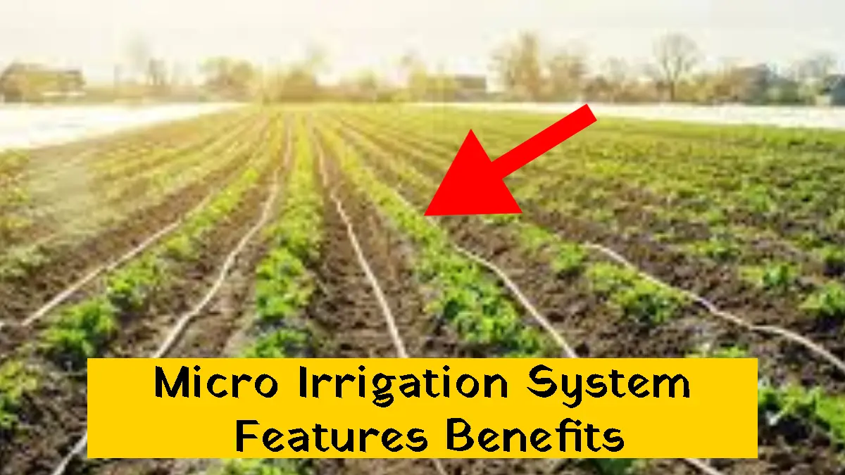 Micro Irrigation System: Features, Benefits and Drip Irrigation
